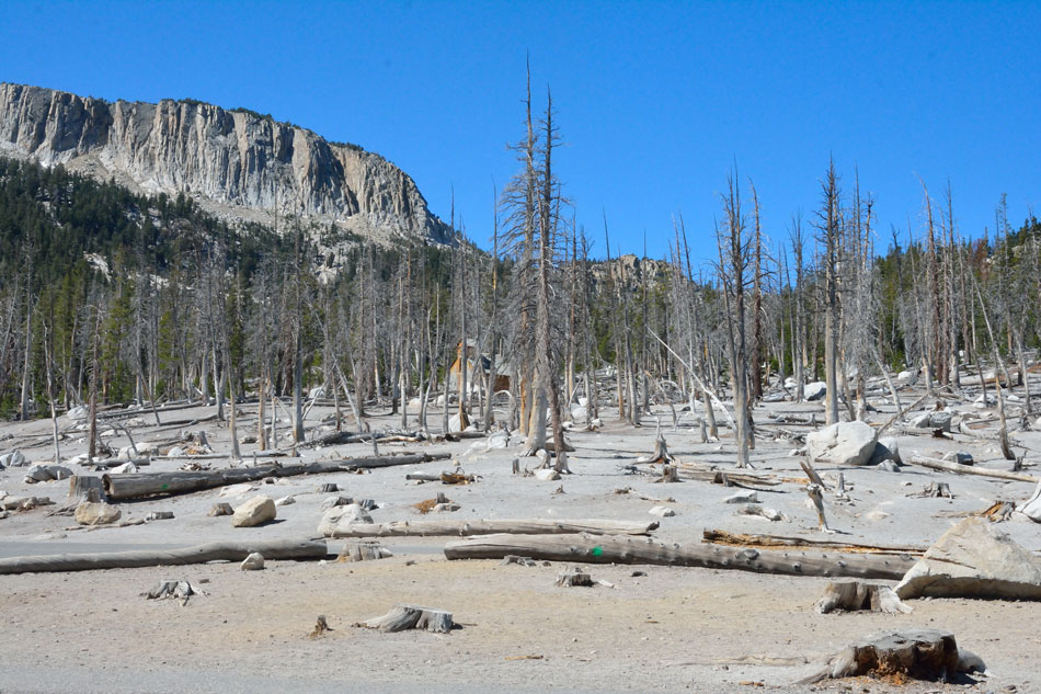 Horseshoe Lake Mammoth Lakes Horseshoe Lake Mammoth Lakes
