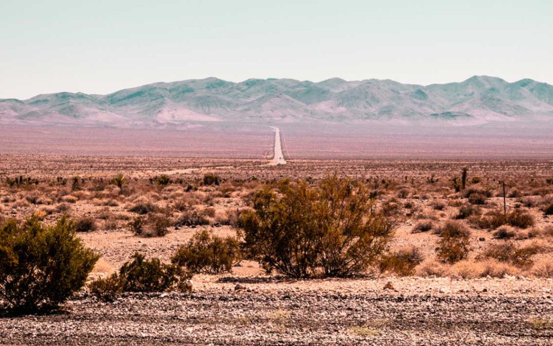 CALIFORNIA (2): Goffs / Chambless. Los pueblos fantasma del desierto. Km 3.412