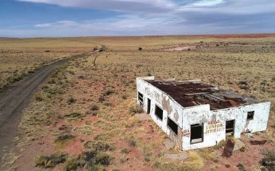 ARIZONA (1): Cruzando el Parque Nacional del Bosque Petrificado / El Painted Desert Trading Post. Km 2.744