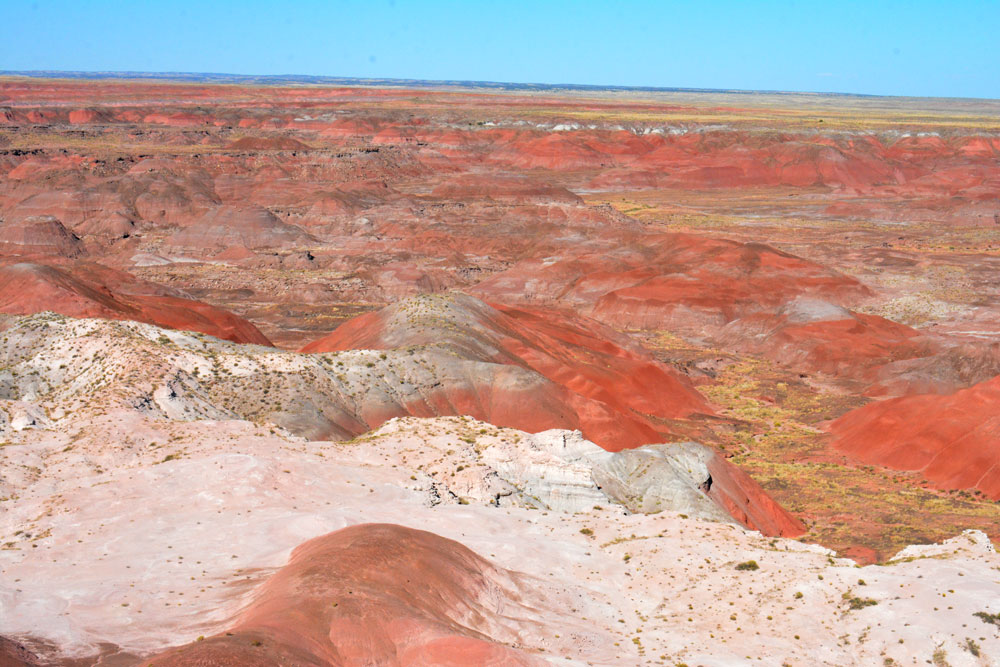 Petrified-Forest-National-Park