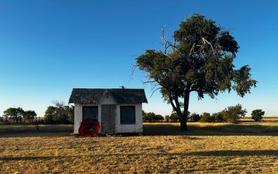 TEXAS (4): Vega / Adrian. Km 1.922